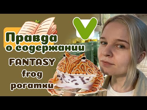 Видео: Как ухаживать за фантазийной рогаткой.