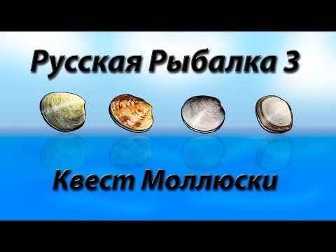 Видео: Русская Рыбалка 3.99 Квест Моллюски