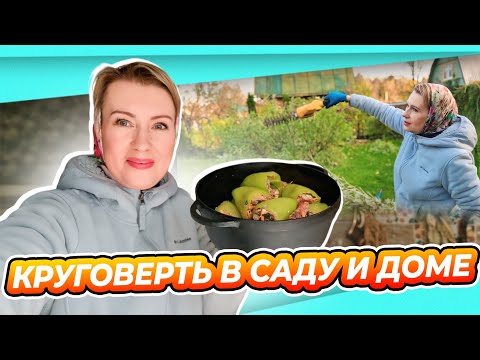 Видео: ВЛОГ ИЗ ДОМА И САДА | УКРЫТЬ: ИВА ХАКУРО НИШИКИ | ЛАВАНДА | ГОРТЕНЗИЯ КРУПНОЛИСТНАЯ