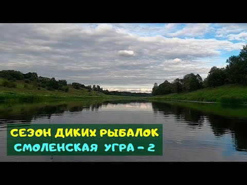 Видео: Сезон диких рыбалок. Смоленская Угра 2