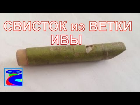 Видео: Как сделать свисток из дерева. Свисток из ветки.