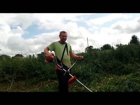 Видео: Бензокоса Zimani 226r второй сезон в работе. Проблемы. Сенокос 2025 года начался.