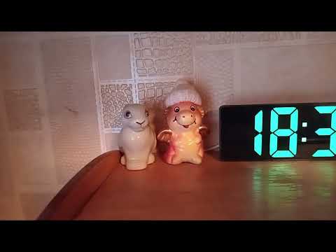 Видео: Репортаж из квартиры на Бекетовке (Румтур) 11.07.2025г.
