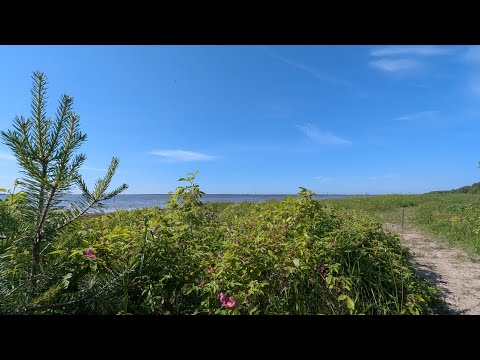 Видео: Остров Ягры, Северодвинск. Хвоя, песочек, разнотравье. Маяк, мемориал