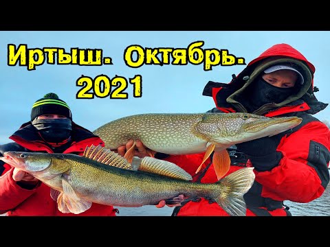 Видео: Рыбалка на Иртыше  Октябрь 2021  Судаки не дают скучать, щука на джиг