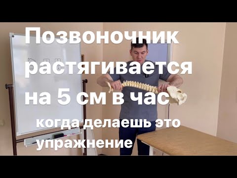 Видео: Позвоночник растягивается на 5 см в час если это упражнение делаешь