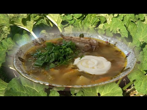 Видео: Борщ из ревеня/Вкусно и просто