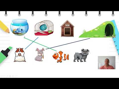 Видео: II одделение - Англиски јазик - "Опишување на животни: My rabbit is small."