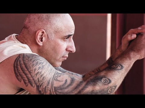 Видео: Баланс эмоционального и сознательного разума