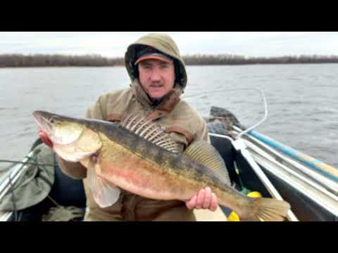 Видео: Рыбалка на судака в ноябре. Чистополь