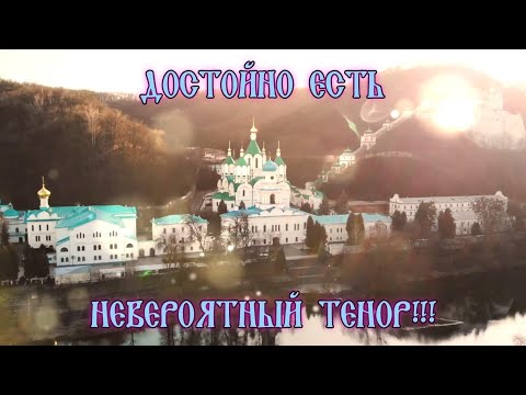 Видео: ДО СЛЕЗ! "Достойно есть" - хор Святогорской Лавры (невероятный тенор - архидиакон Дамаскин)