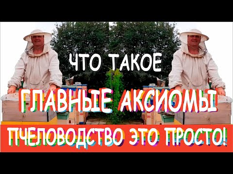 Видео: Что Надо и Достаточно Знать в Пчеловодстве! - "Пчеловодство - это Просто!" Главные Аксиомы. "Пчёлы+"