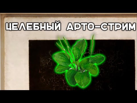 Видео: Я вам обещал АРТУ! Ранговые бои в Мире Танков.