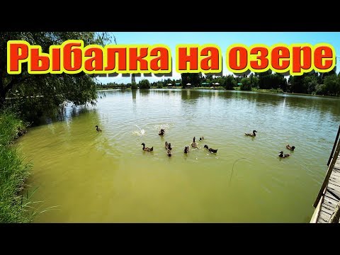 Видео: Дневной выезд на рыбалку ( 8 озёр безклёвие )