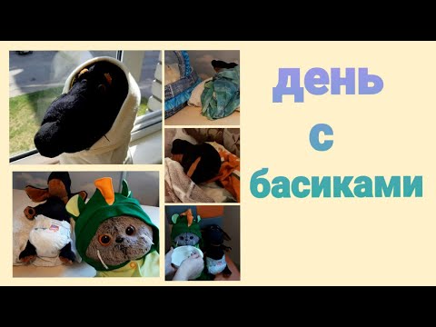 Видео: Летний день с басиками!