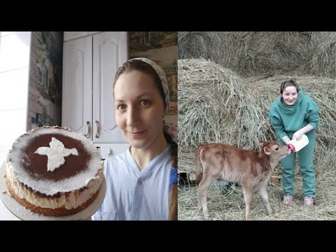 Видео: ЭТО была очень СЛАДКАЯ НОЧЬ!!! 🙈🥞🎂🥧🐔🐄🌱