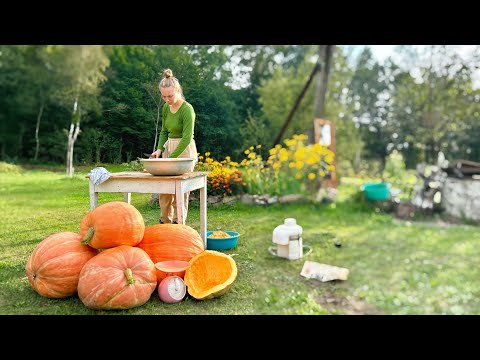 Видео: Живем в ЗАБРОШЕННОЙ деревне | ВКУСНЕЙШИЙ ТЫКВЕННО-АПЕЛЬСИНОВЫЙ СОК | Lady cooking outside