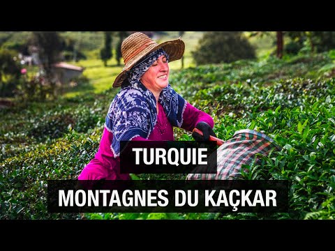 Видео: Турция: Самые красивые деревни Качкара - Малоизвестный регион - Документальный фильм о путешествиях