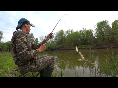 Видео: В ЭТОМ МЕСТЕ РЫБА НА ВСЕ КРЮЧКИ БРОСАЕТСЯ. ТРИ РЕКИ. Рыбалка на поплавочную удочку и закидушку.
