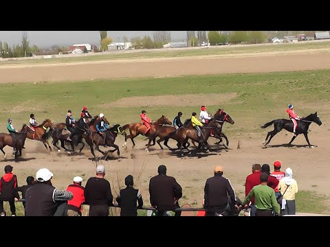 Видео: Аламан