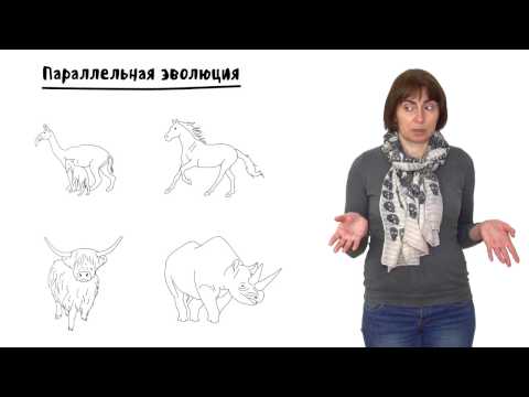 Видео: Эволюция - 5. Макроэволюция, часть 2. 10 - 11 класс