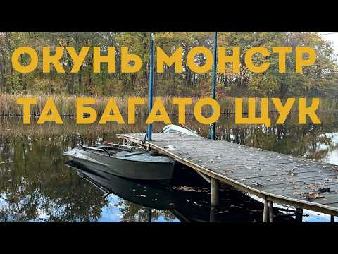 Видео: Окунь-монстр і щука за щукою! Реальний треш на Ворсклі 🎣