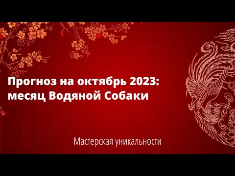 Видео: Прогноз на октябрь 2023: месяц Водяной Собаки