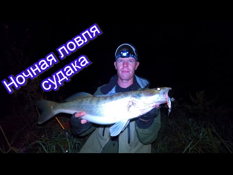Видео: Ночной судак и ЦВЕТ приманки. ЗАЧЕТНЫЙ судак с берега!