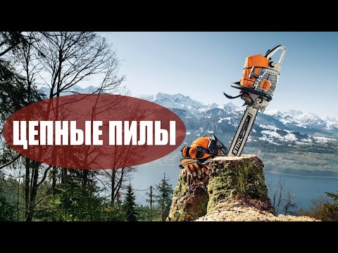 Видео: Что обязательно нужно знать о цепной пиле