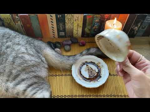 Видео: Чашка дня! Знаки на кофейной гуще ☕️