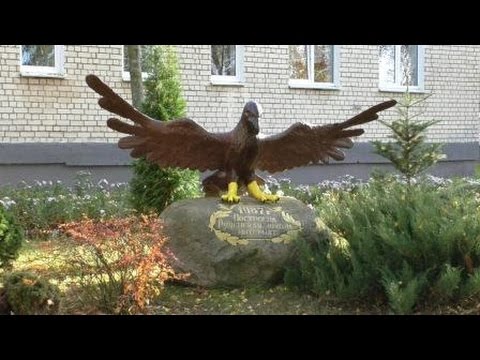 Видео: Руденская вспомогательная школа-интернат