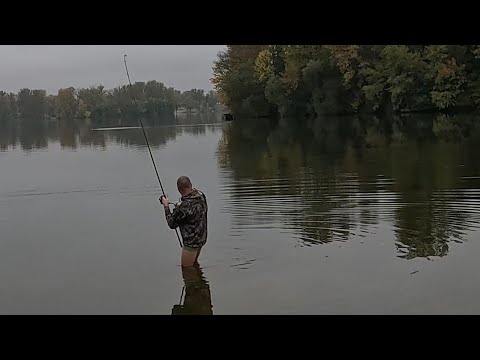 Видео: Монстр из глубин чуть не утащил под воду
