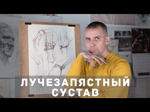 Видео: Лучезапястный сустав - А. Рыжкин