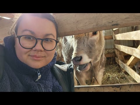 Видео: Одна на хозяйстве, муж не выдержал и уехал в Москву. Для всех неравнодушных к данному вопросу:)