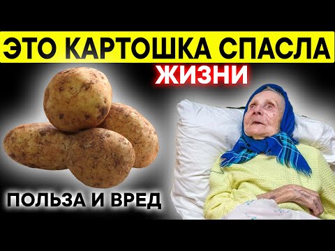 Видео: Картошка Спасла Миллионы Жизни Людей !? Картофель Польза и Вред для ОРГАНИЗМА!