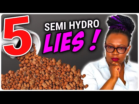 Видео: 5 лжей, которые вам рассказывали о полугидропонике