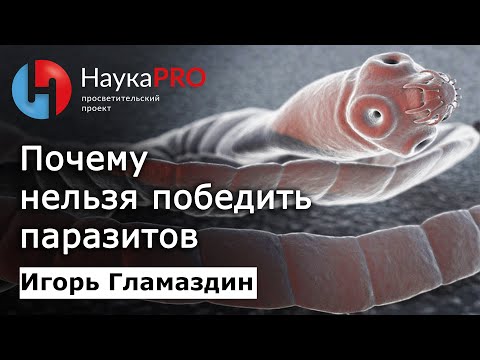 Видео: Почему нельзя победить паразитов | Паразитология: лекции – Игорь Гламаздин | Научпоп | НаукаPRO