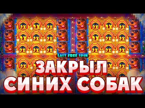 Видео: ЛЮТЫЕ ПОЛЯНЫ СРАЗУ НА 4-Х ЭКРАНАХ!!!!КУЧА ЛЮТЫХ БОНУСОК В THE DOG HOUSE MULTIHOLD!!///ЗАНОСЫ НЕДЕЛИ