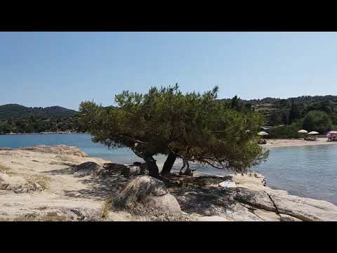 Видео: Лагониси бич Бар Ситония Греция   Lagonisi Beach Bar   Sitonia  Grece