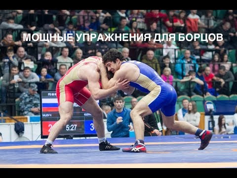 Видео: Три мощных упражнения для борцов!!!