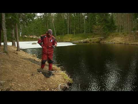 Видео: Мировая рыбалка. Сезон 2. Ловля форели в окрестностях Риги