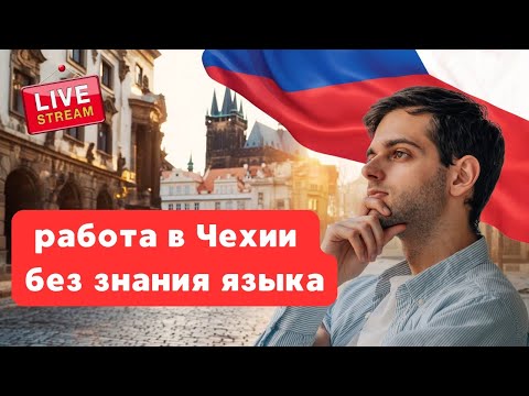 Видео: Как устроиться на работу в Чехии, если не знаешь язык?
