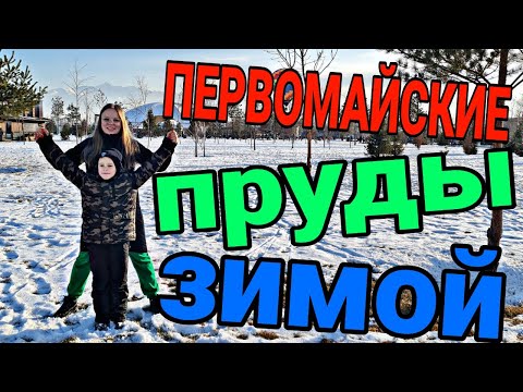 Видео: Первомайские пруды Алматы. Зима 2022