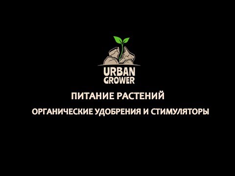 Видео: УРБАН ГРОВЕР УРОК 20 - ПИТАНИЕ РАСТЕНИЙ - ОРГАНИЧЕСКИЕ УДОБРЕНИЯ И СТИМУЛЯТОРЫ