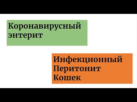 Видео: FIP - Инфекционнный перитонит кошек - Вирусный перитонит кошек - Информация для владельцев