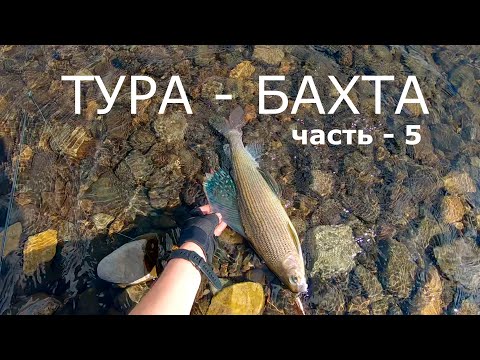 Видео: ТУРА - БАХТА. Часть - 5. ЯСЕНГА