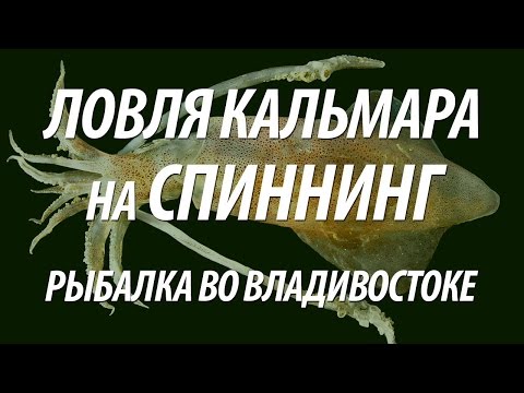 Видео: КАЛЬМАР НА СПИННИНГ. МОРСКАЯ РЫБАЛКА ВО ВЛАДИВОСТОКЕ