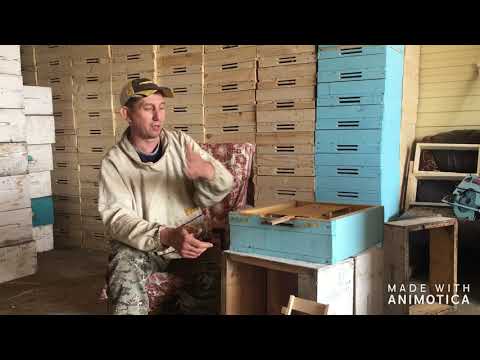 Видео: Обзор донного пыльцесборника.