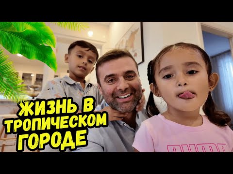 Видео: Жизнь в тропическом городе