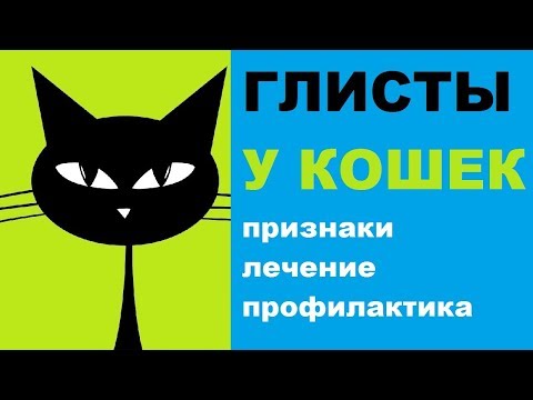 Видео: Признаки глистов у кошек, лечение, профилактика